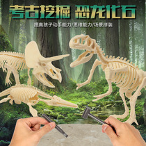 On-site dinosaur fossil archaeological excavation version toy rough stone model simulation diy Tyrannosaurus Rex skeleton assembled treasure