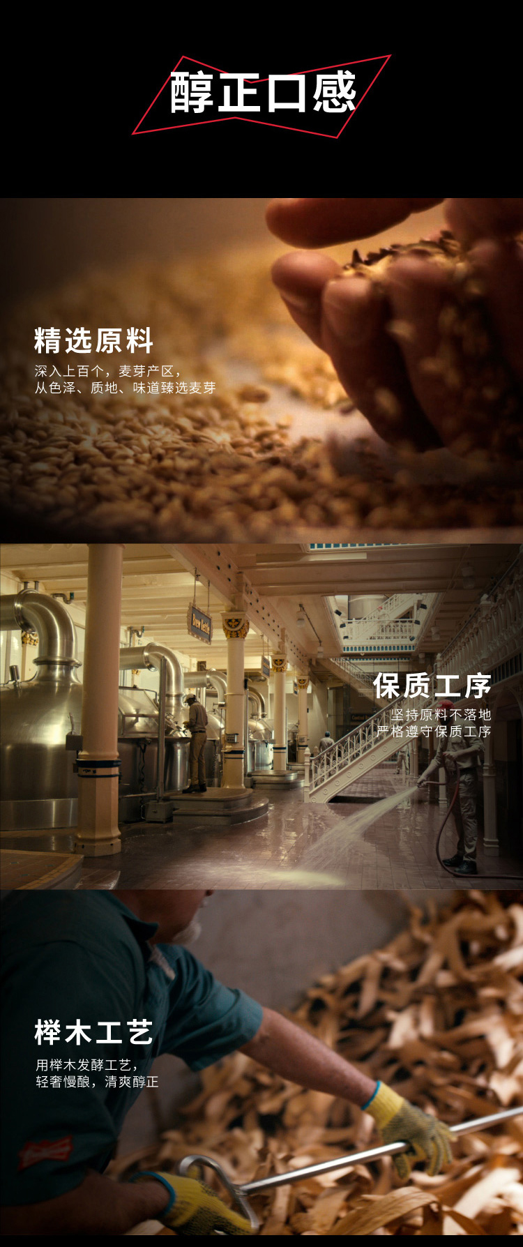 百威 经典醇正啤酒 550ml*30听+255ml*24听 图2