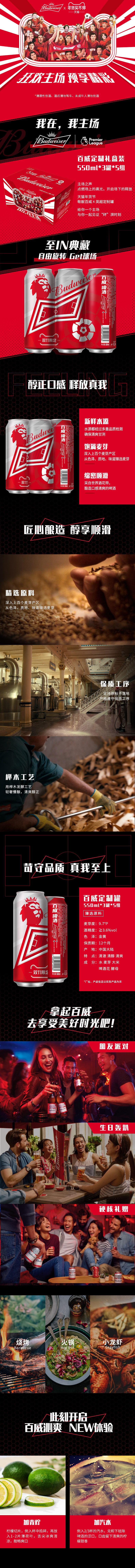 百威 英超定制限量罐啤酒 550ml*15听 图1