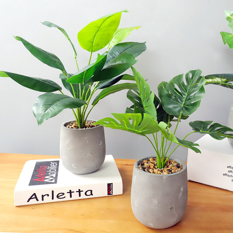 Green Plant Office Simulation Plant Pot Green Turtle Back Leaf Fake Flower Hotel Living Room Decorated Green Pot View