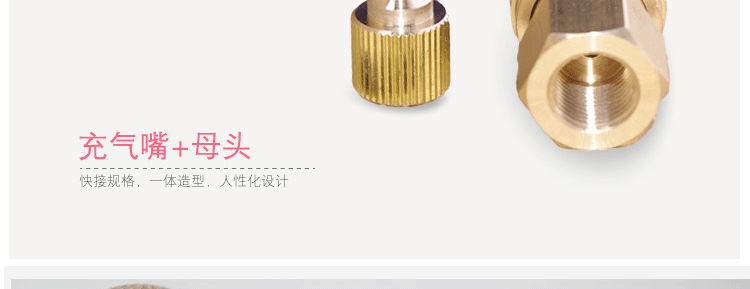 Pompe à vélo - Ref 2391959 Image 14