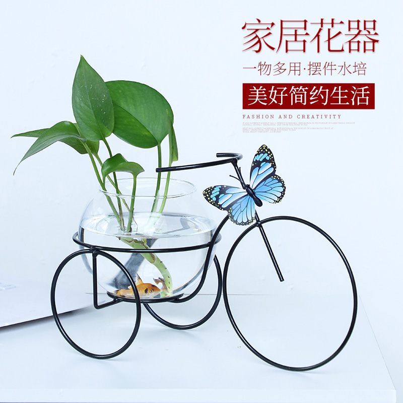 Creative green water plant vase glass transparent flowerwater pot iron flower pot iron flower dish table