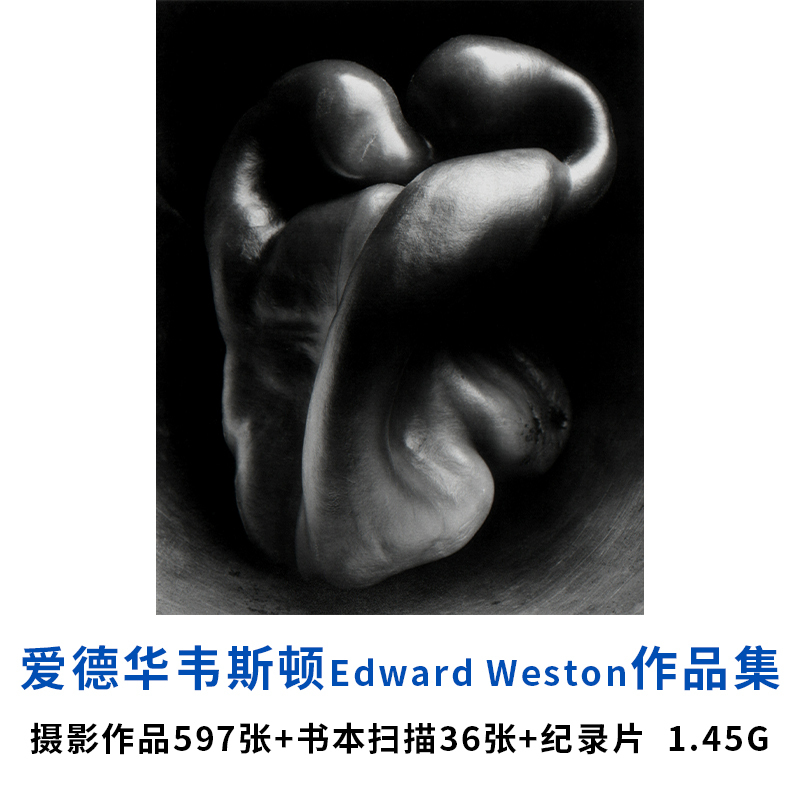 Edward Weston's Photography Portfolio Digital Version Still Life Photography Reference Materials
