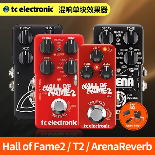 Электронный зал Славы TC Mini T2 Arena Hunte Guitar Single Effect