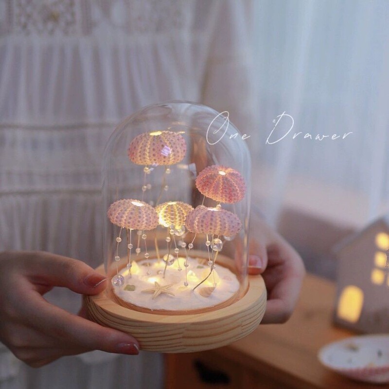 Handmade DIY Birthday Gift for Female Friends, Shell and Sea Urchin Lamp, Night Light, Creative Retro Ornament, Bedroom Lamp Handmade DIY Birthday Gift for Female Friends, Shell and Sea Urchin Lamp, Night Light, Creative Retro Ornament, Bedroom Lamp
