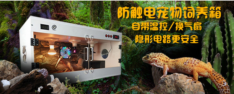 Разное Жилищное Жилищное Ассоциация_04.JPG