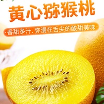 Yellow Hearts Kiwi Fruits Fresh Fruit Big Fruits When Should Season The Whole Box When Season Gold Yellow Meat Chic Exotic Fruits