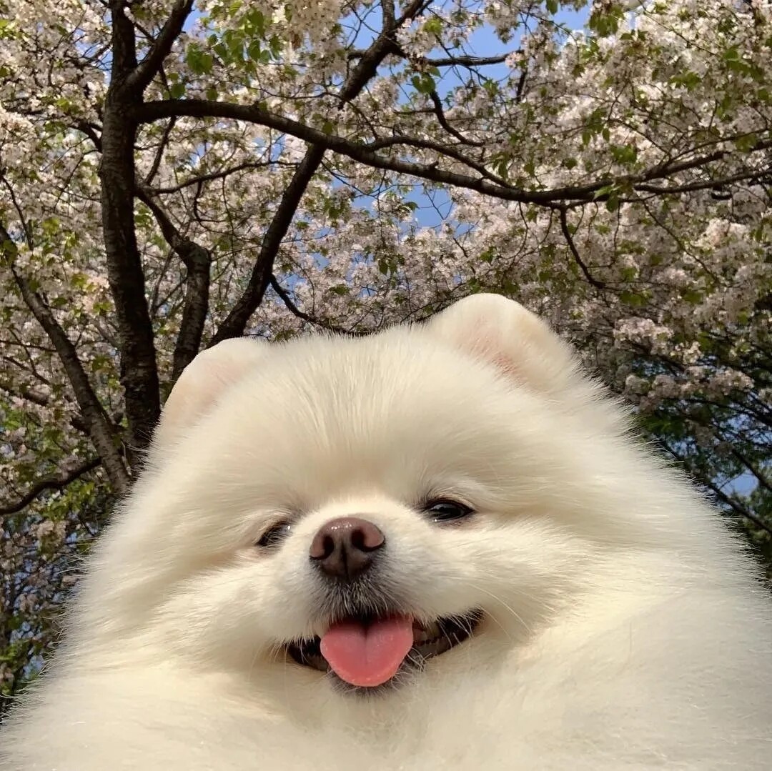 吉梦An店铺