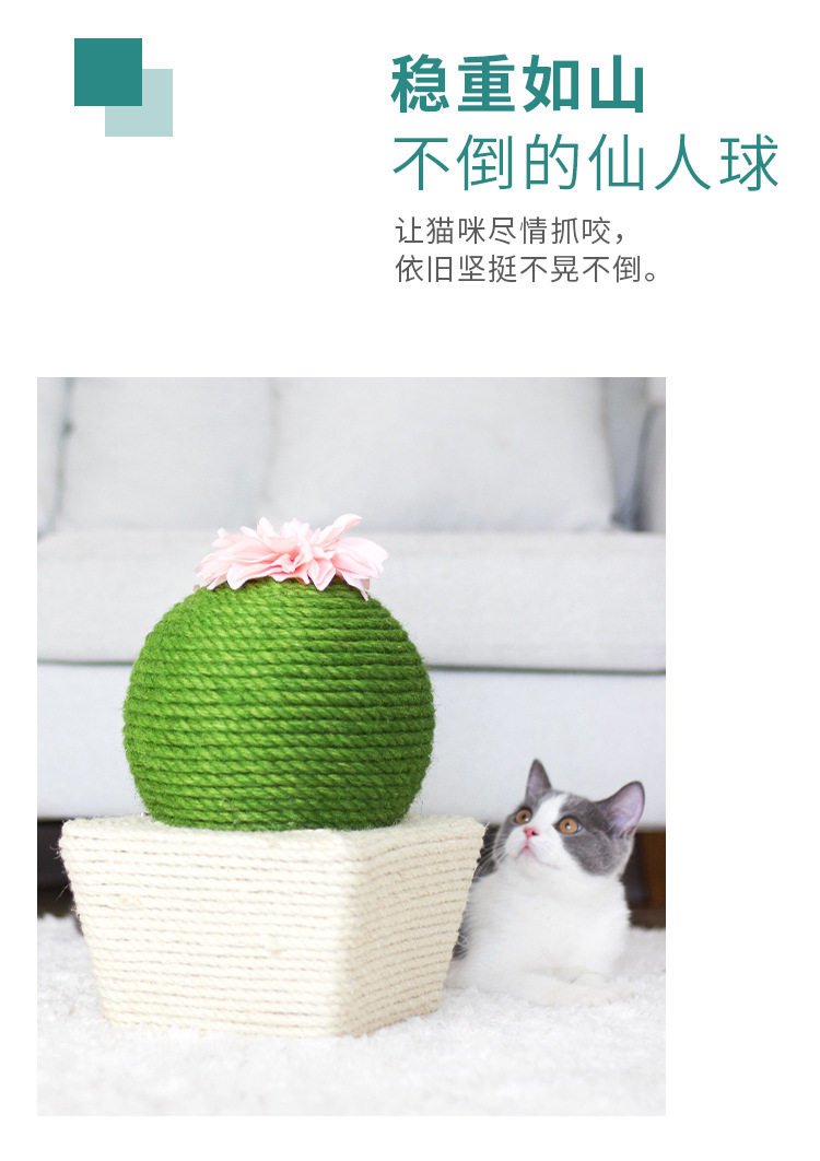 [详情_06.jpg]