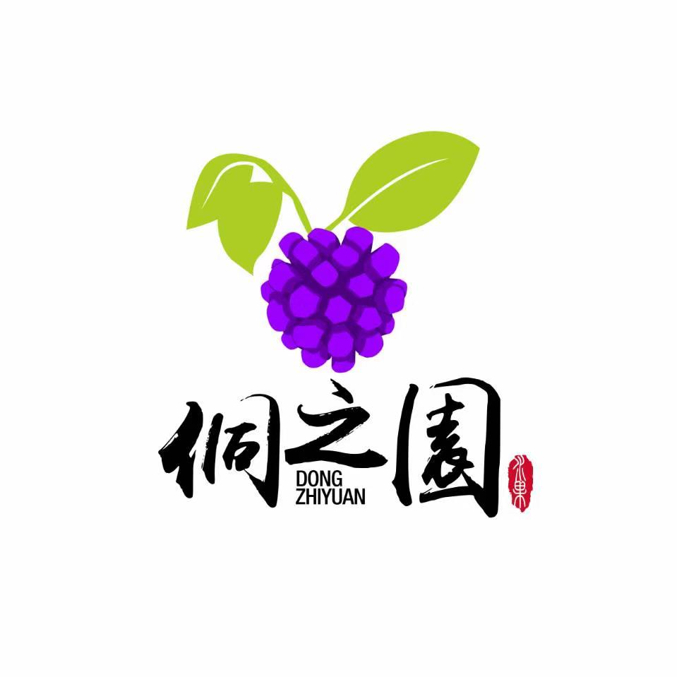侗之园的LOGO