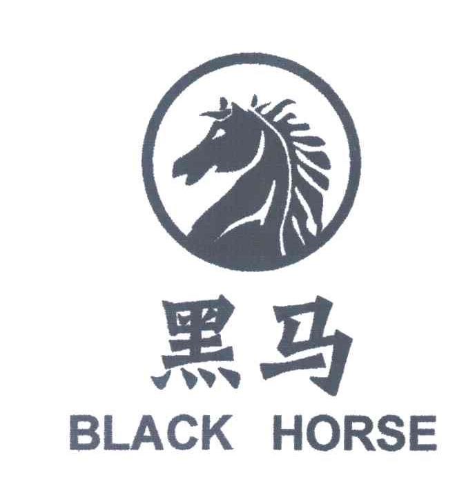 黑马网络手游充值中心