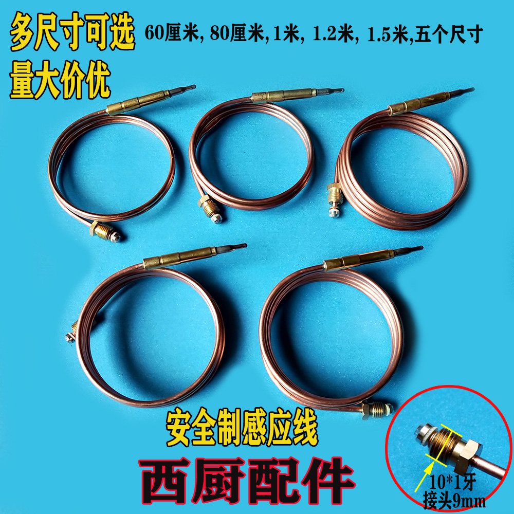 New Guangdong Haijestsi cook safety induction thermocouple extinguishing protection ion induction needle detection needle