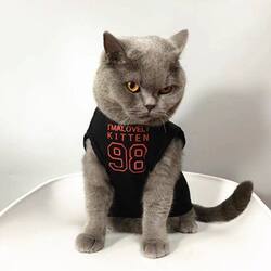 Hong Kong Style Cat and Dog Clothes, Spring and Summer Thin Sleeveless Clothing for Kittens, Pet Ragdoll Cats, British Shorthair Blue Cats, Anti-Shedding