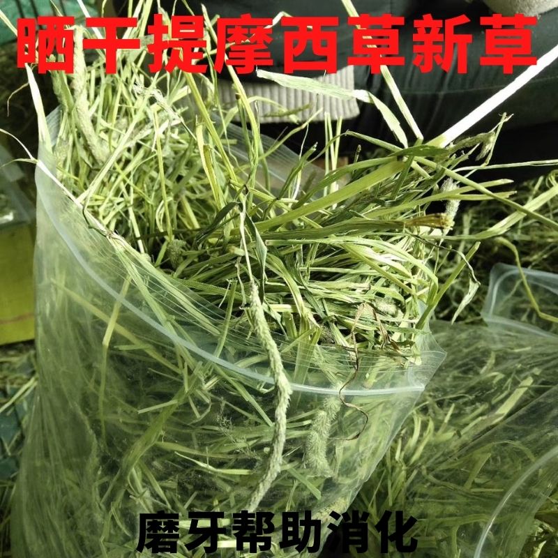 22 years of new sun-dried timothy grass sealed bag hay north chinchilla guinea pig rabbit molar grass 500g