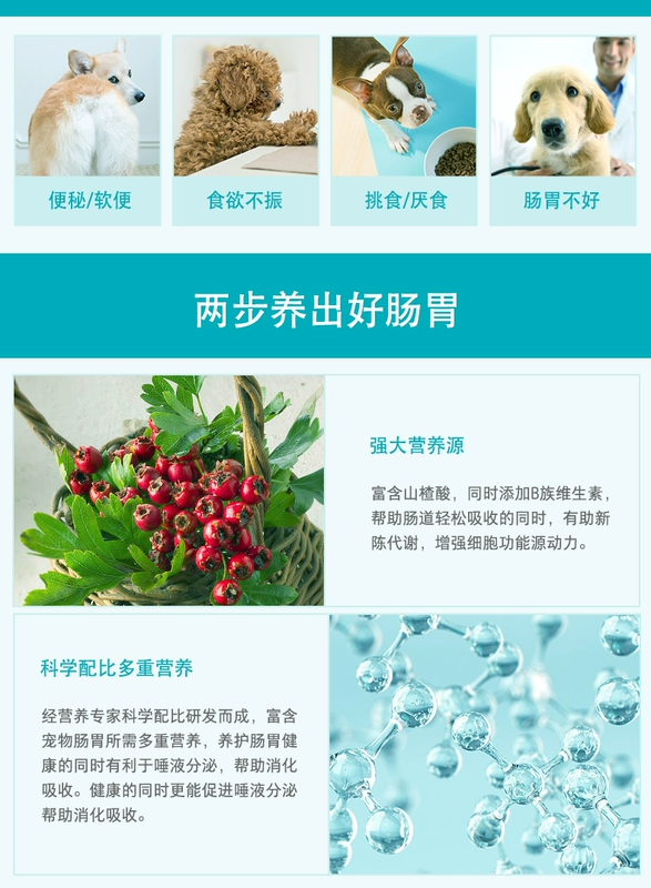 Wei Shi thú cưng tiêu hóa máy tính bảng điều hòa dạ dày mèo Teddy kén ăn không ăn thức ăn cho chó táo bón đối tác - Cat / Dog Health bổ sung