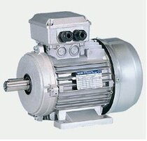 Supply Italian NERI MOTORI variable frequency motor imported waterproof motor T80B4 0 75KW