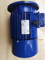 Direct selling Italian BBM brake motor BM 112MS2 132SA2 5 5KW2P imported brake horse