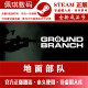 Ground Forces Brand New White Account PC Genuine STEAM Game GROUND BRANCH Exclusive Can Be Replaced
