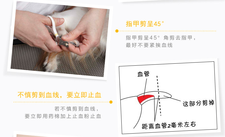 83871-83872-83873-HS NAIL CUT_11.jpg