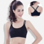 Đặc biệt hàng ngày vẻ đẹp liền mạch trở lại dây đai hàng đầu bọc ngực áo ngực sinh viên cơ sở đồ lót phụ nữ áo chống sốc thể thao áo tập adidas