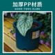 Alice Deeppot potted home green mountain resin ກາລອນ pot rose hydrangea succulent Alice ຫມໍ້ດອກໄມ້ພາດສະຕິກ