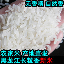 20 New rice Authentic Northeast rice long grain fragrant farmers own rice Heilongjiang specialty New rice Japonica 500g