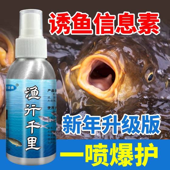 24 년의 낚시 투어, Qianli 농축 식품 모집 물고기, 초식 잉어, 크레인 검은 낚시 검은 구덩이 나쁜 낚시
