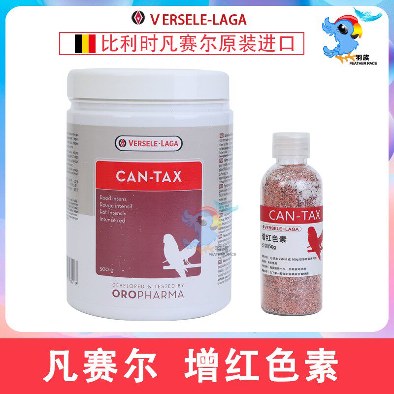 Import Belgian Versailor Red Pigment Indie Jade Bird Hibiscus Bird hibiscus with a swapped feather and a beautiful plume red