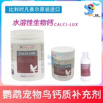 Fansel belge Eau Soluble Bio Calcium Oiseaux Pigeon Parrot Calcium Inkfish Water Soluble Calcium Health Supplies