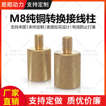 M8 pure copper terminal lithium battery plastic shell battery positive and negative terminals support customization