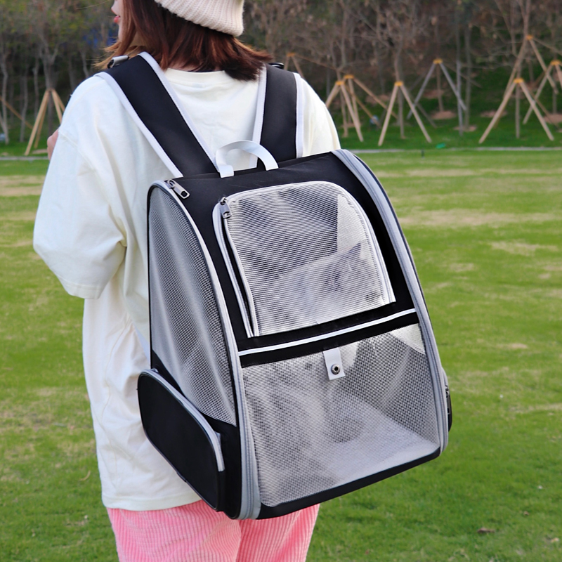 Cat outsourced portable breathable shoulder backpack cat bag folds light summer cat cage small dog