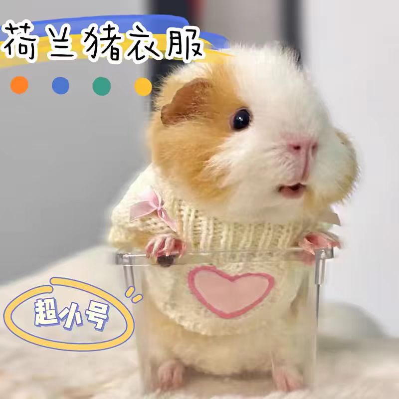 Guinea Pig Clothes, Winter Pet Warm Clothing, Cute Sweater for Sugar Gliders, Guinea Pigs, Chinchillas, Small Pets, Winter Hoodie