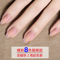 Naked powder silver gold light cat eye nail art oil white light therapy glue 3d variety wide line long lasting nail polish glue 2020 new color