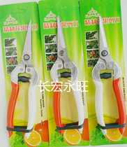 30 scissors grapes scissors oranges tomato scissors fruit scissors vegetable and fruit cut pepper straight head and tooth scissors