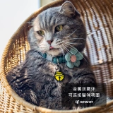 Пятнадцать Pet Cat Law Cat Products Dewelry Jewelry Home с кодексом индивидуального кошачьего кода