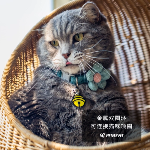 Пятнадцать Pet Cat Law Cat Products Dewelry Jewelry Home с кодексом индивидуального кошачьего кода