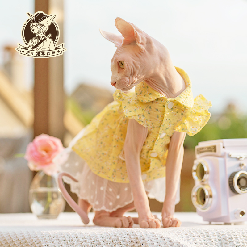 Summer Ultra-Thin Pure Cotton Bubble Cotton Dress for Hairless Cats, Sphynx Devon Pet Cat Kitten Short-Sleeved Dress Summer Ultra-Thin Pure Cotton Bubble Cotton Dress for Hairless Cats, Sphynx Devon Pet Cat Kitten Short-Sleeved Dress