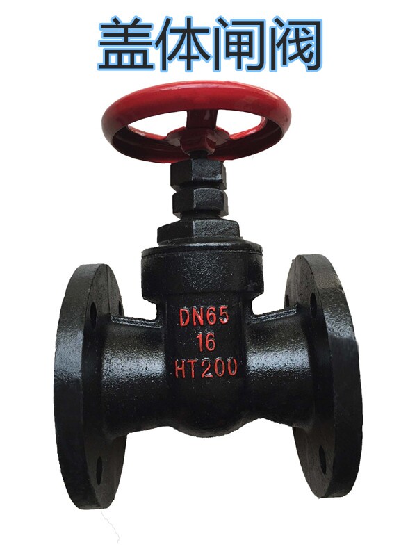 Z45T-16 cast iron cover body gate valve copper core flange gate valve DN25-DN200 