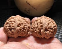 Original Tree Text Playing With Walnut Palace Lantern Lions Head 42 Tiger Head Official Hat Chicken Heart Southern Frontier Stone Lantern Wang Yong
