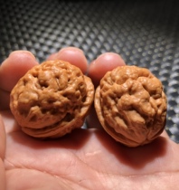 Pure Wild Natural Bully Liga Golden Toad Brain Tattoo Toad Head Lions Head Lion Head Small Size Iron Walnut