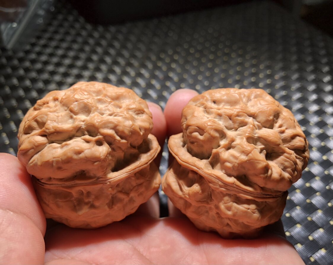 50 size extra-large pure wild dwarf pile gold toad with goose bumps in toad head text to play walnut lion head boutique