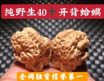 Wenplay walnut big old iron Jade Unicorn open back King Golden Toad head lion head boutique special gate pier four buildings