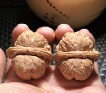 Text to play walnut Beijing clam toad head goose bumps with lions head Old Tree 39 Size flat valley Four buildings Yanqing