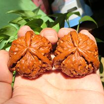 Wenwen walnut shaped wild triangulate Bodhi lion head big rush seamless splicing Jade special price Juyuanyuan