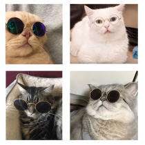 Kitty glasses to blame Gaffy cat teddy blue cat sunglasses Pet Pooch glasses Decorative Glasses Photo props