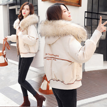 Big hair collar down cotton clothes women short 2020 winter dress Korean sweet students loose thick small man cotton coat tide