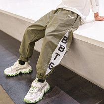 Boy Street Dance Pants Korean version of loose children Harlan bloomers Big Boy hip hop handsome boy spring and autumn trousers tide