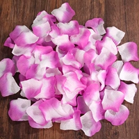 Фиолетовый плюс белые лепестки/120 штук