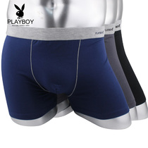 Playboy mens underwear mens boxer pants