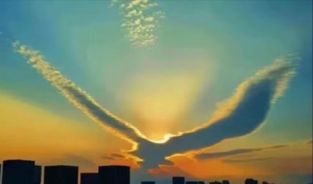 上海海鑫铝材
